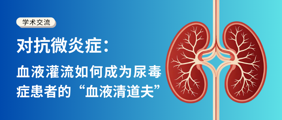 對抗微炎癥:血液灌流如何成為尿毒癥患者的“血液清道夫”
